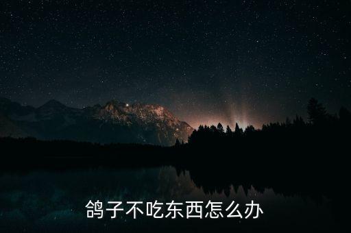鸽子不吃食怎么办，鸽子不吃东西怎么办