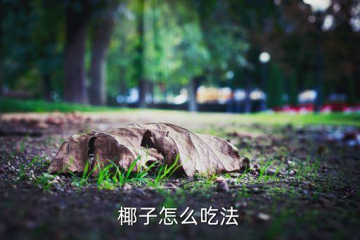 椰子怎么吃，椰子怎么吃