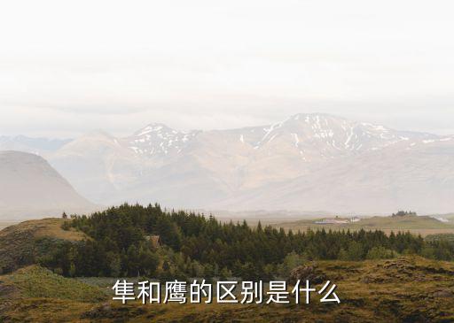 隼和鹰的区别，鹰与隼的区别具体点