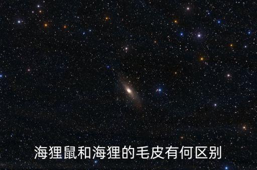 海狸鼠，海狸鼠好养