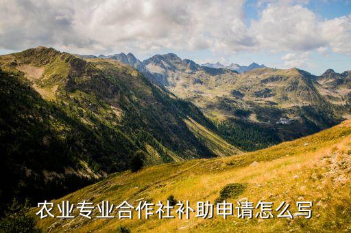 农业补贴怎么写，什么叫农业四项补贴