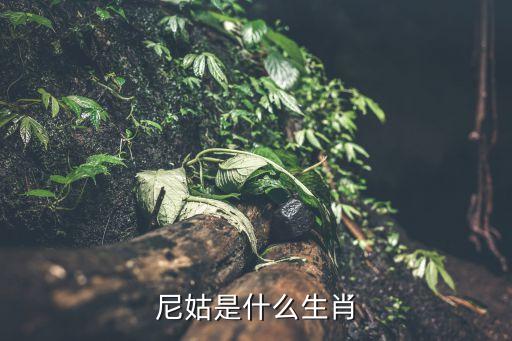 尼姑是什么生肖