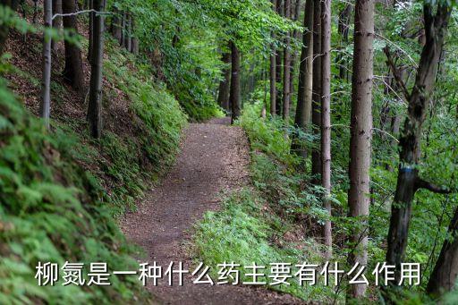 柳蚕，世界上有几种蚕