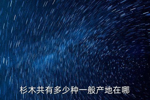 杉树，杉树是什么东西