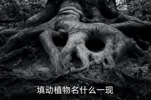 什么什么一现，昙花一现如何造句