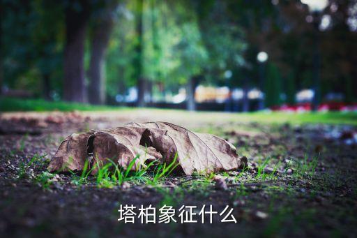 塔柏，塔柏的护理和施肥