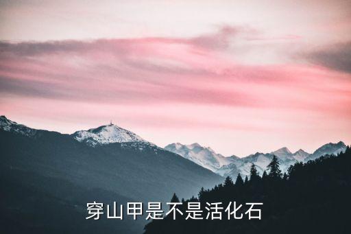 穿山甲图片，穿山甲是不是活化石