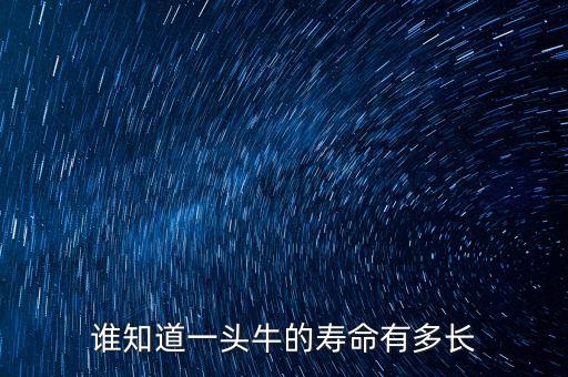 谁知道一头牛的寿命有多长
