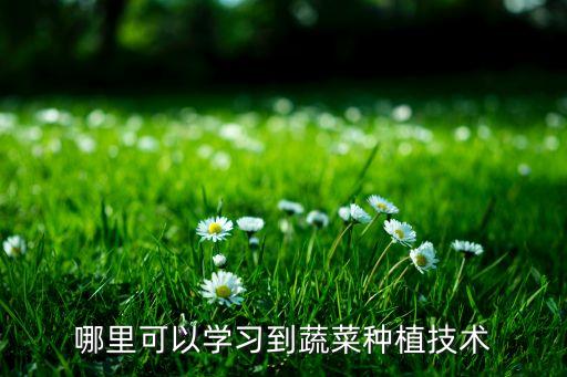 哪里可以学习到蔬菜种植技术