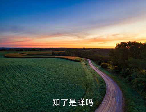知了是蝉吗，知了是昆虫吗