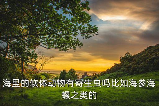 海里的软体动物有寄生虫吗比如海参海螺之类的