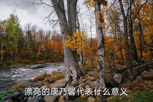 美丽的康乃馨，漂亮的康乃馨代表什么意义