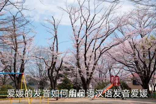 爱媛的发音如何用日语汉语发音爱媛