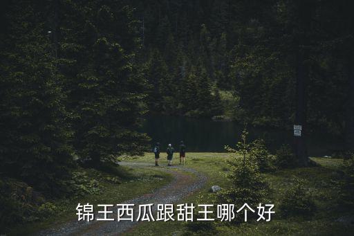 甜王西瓜，锦王西瓜跟甜王哪个好