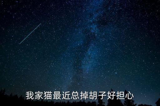 猫咪掉胡子，我家的猫胡子掉光了怎么办