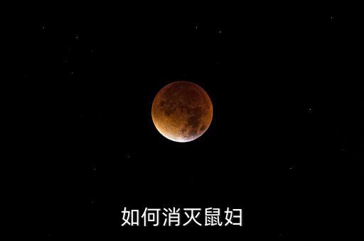 如何消灭鼠妇