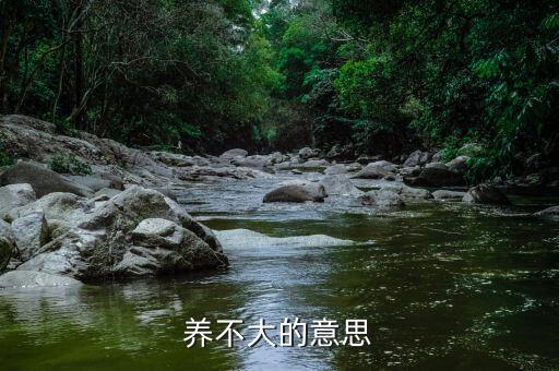 养不大，小孩三个月大了怎么养不大