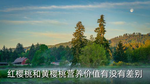 黄色樱桃，红樱桃和黄樱桃营养价值有没有差别