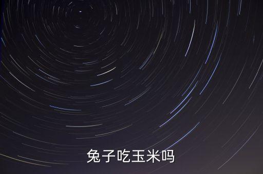 兔子能吃玉米吗，兔子吃玉米吗