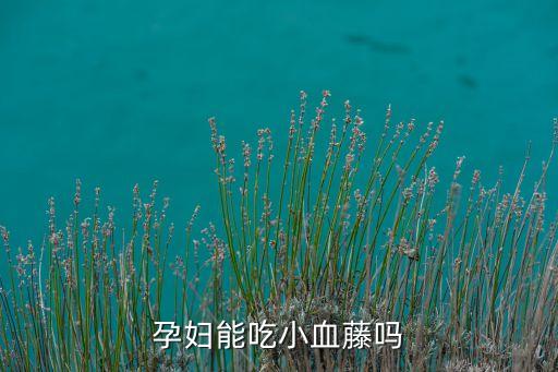 孕妇能吃小血藤吗
