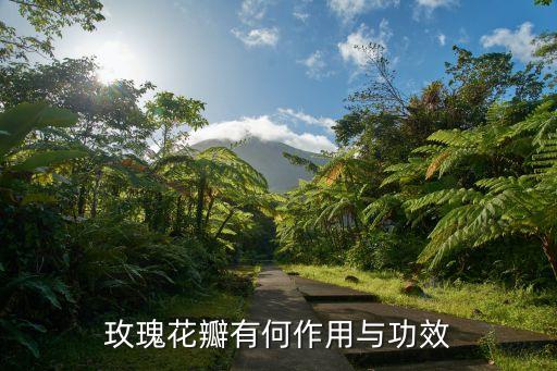 玫瑰花瓣有何作用与功效