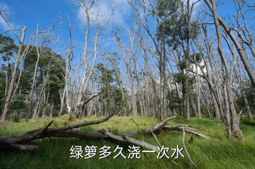 绿箩多久浇一次水
