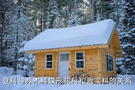 苏木科，乔木 苏木科有哪些树种