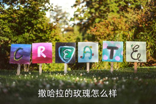撒哈拉的玫瑰怎么样