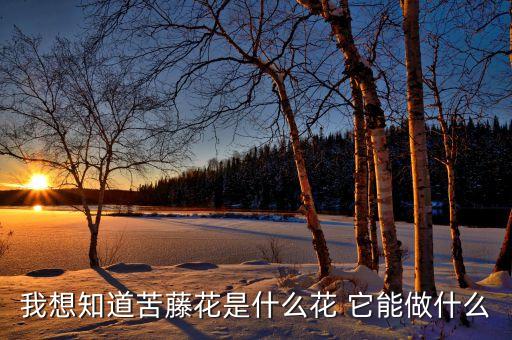 苦藤花，怀孕晚期能吃苦藤花