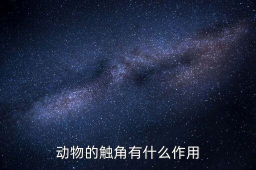 触角，触角是什么意思触角的汉语解释