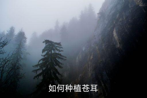 种菖蒲，川菖的中药别名字