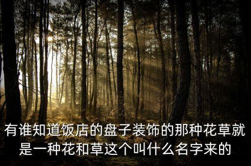 有谁知道饭店的盘子装饰的那种花草就是一种花和草这个叫什么名字来的