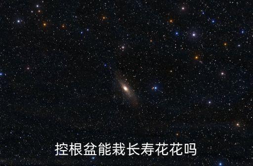 控根盆，控根盆能栽长寿花花吗