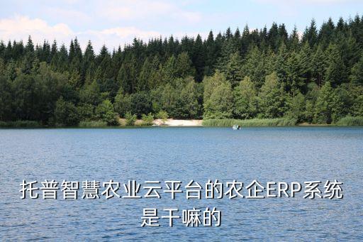 托普智慧农业云平台的农企ERP系统是干嘛的