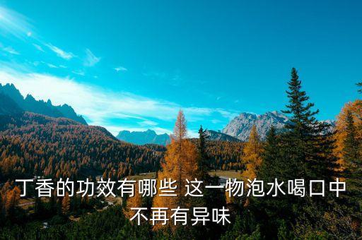 丁香的功效有哪些 这一物泡水喝口中不再有异味