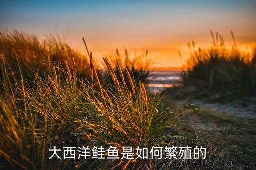 大西洋鲑鱼是如何繁殖的