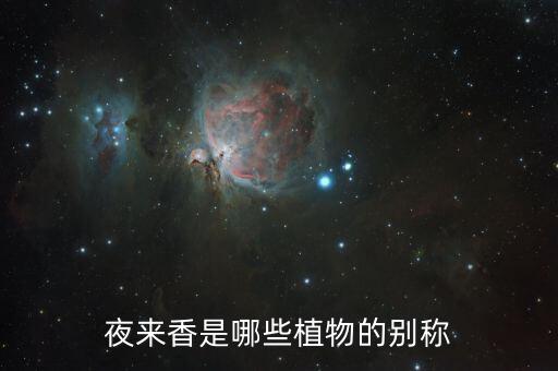 夜香花，请问夜来香花一般在几月开花