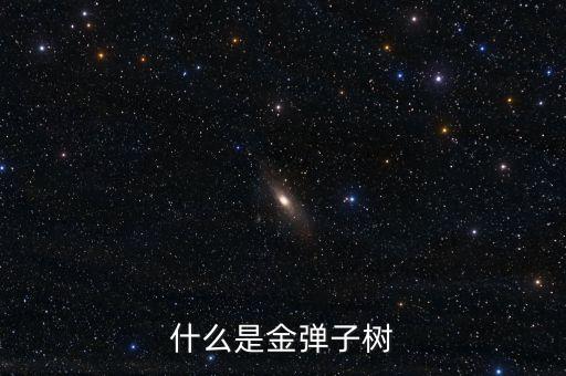 金弹子是什么树，金弹子是什么树木