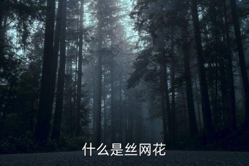 什么是丝网花