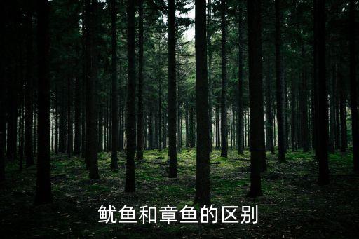 鱿鱼和章鱼的区别
