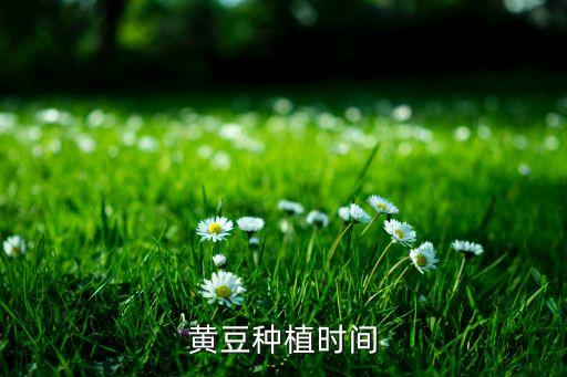 黄豆种植时间