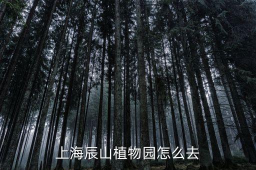 辰山植物园，上海辰山植物园的详细地址