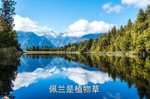 佩兰，佩兰的功效是什么