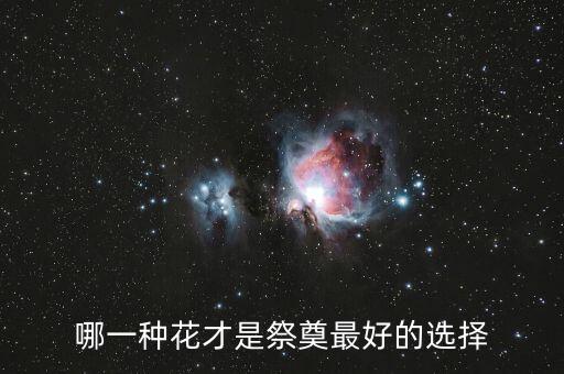 祭拜用什么花，哪一种花才是祭奠最好的选择