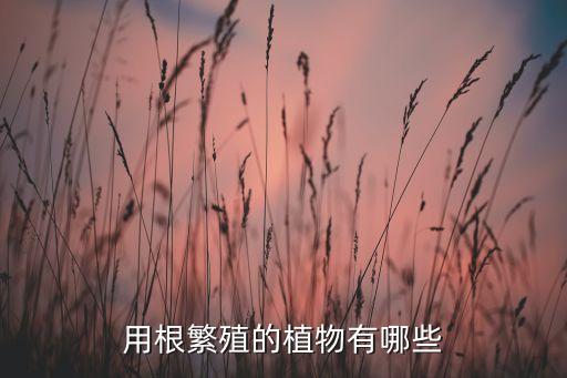 用根繁殖的植物有哪些