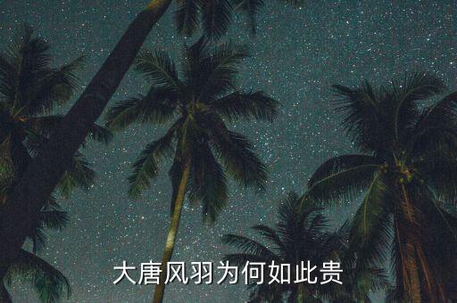大唐风羽为何如此贵
