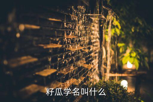 籽瓜学名叫什么