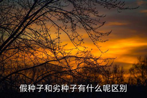假种子，假种子案件属于什么性质的案件