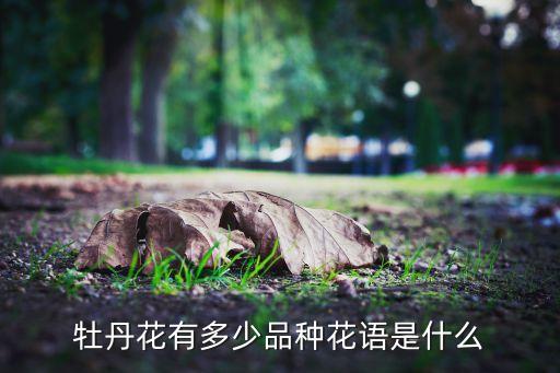 牡丹花有多少品种花语是什么