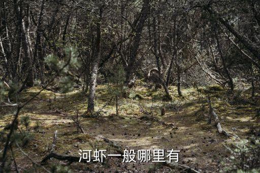 河虾有哪些，河虾一般哪里有